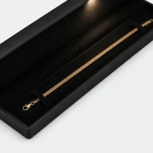 LED illumination and bracelet retention detail inside a long black box